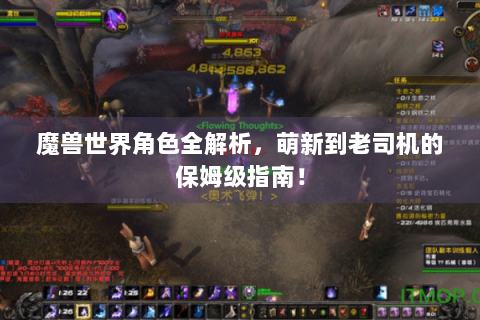 魔兽世界角色全解析，萌新到老司机的保姆级指南！