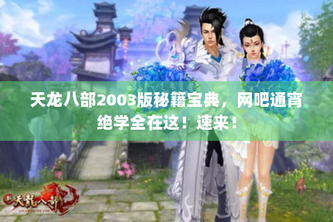天龙八部2003版秘籍宝典，网吧通宵绝学全在这！速来！
