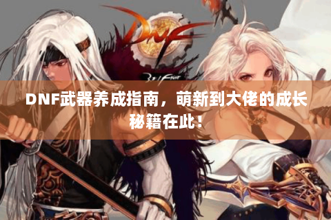 DNF武器养成指南，萌新到大佬的成长秘籍在此！