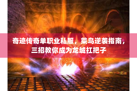 奇迹传奇单职业私服，菜鸟逆袭指南，三招教你成为龙城扛把子