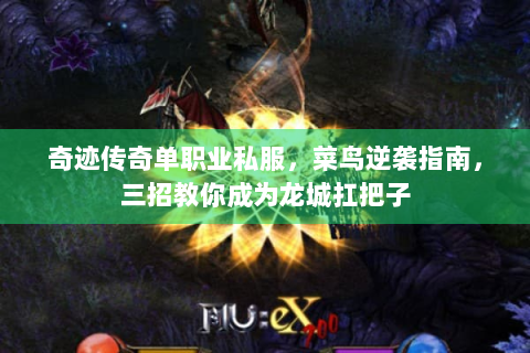 奇迹传奇单职业私服，菜鸟逆袭指南，三招教你成为龙城扛把子