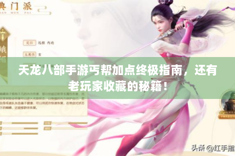 天龙八部手游丐帮加点终极指南，还有老玩家收藏的秘籍！