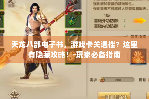 天龙八部电子书，游戏卡关遇挫？这里有隐藏攻略！-玩家必备指南