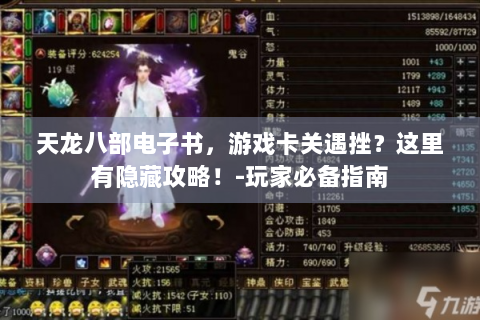 天龙八部电子书，游戏卡关遇挫？这里有隐藏攻略！-玩家必备指南