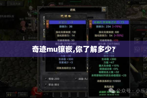 奇迹mu镶嵌,你了解多少?