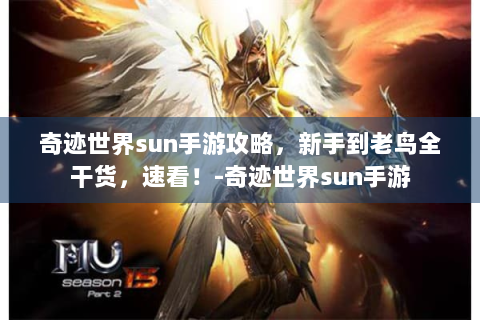 奇迹世界sun手游攻略，新手到老鸟全干货，速看！-奇迹世界sun手游