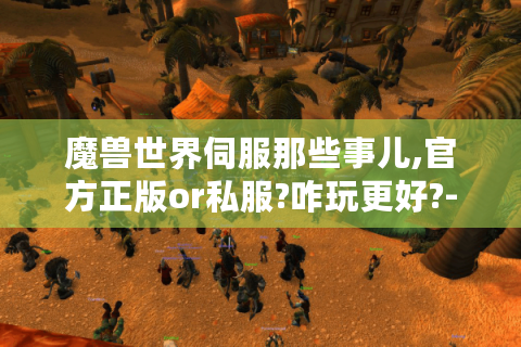魔兽世界伺服那些事儿,官方正版or私服?咋玩更好?-玩家必看