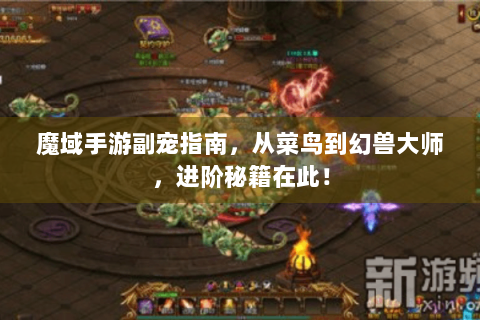 魔域手游副宠指南，从菜鸟到幻兽大师，进阶秘籍在此！