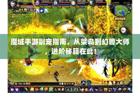 魔域手游副宠指南，从菜鸟到幻兽大师，进阶秘籍在此！