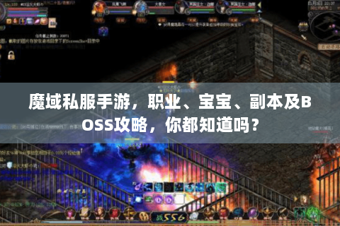 魔域私服手游，职业、宝宝、副本及BOSS攻略，你都知道吗？