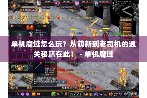 单机魔域怎么玩？从萌新到老司机的通关秘籍在此！ - 单机魔域