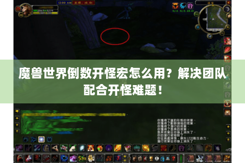 魔兽世界倒数开怪宏怎么用？解决团队配合开怪难题！