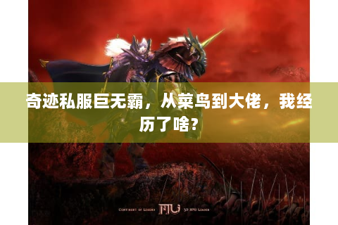 奇迹私服巨无霸，从菜鸟到大佬，我经历了啥？