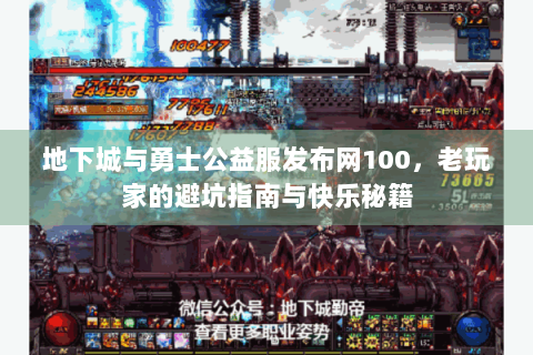 地下城与勇士公益服发布网100，老玩家的避坑指南与快乐秘籍