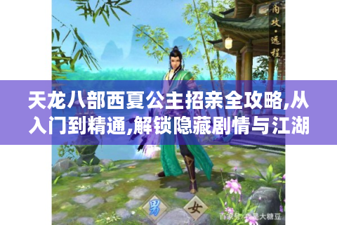 天龙八部西夏公主招亲全攻略,从入门到精通,解锁隐藏剧情与江湖奇遇