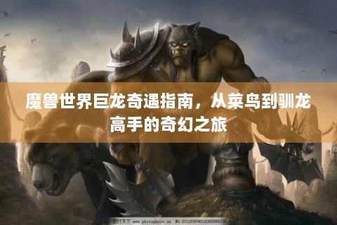 魔兽世界巨龙奇遇指南，从菜鸟到驯龙高手的奇幻之旅