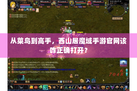 从菜鸟到高手，西山居魔域手游官网该咋正确打开？