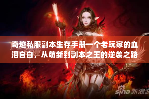 奇迹私服副本生存手册一个老玩家的血泪自白，从萌新到副本之王的逆袭之路