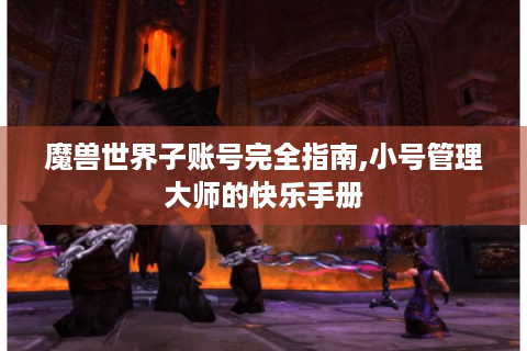 魔兽世界子账号完全指南,小号管理大师的快乐手册
