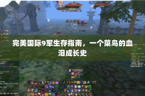 完美国际9军生存指南，一个菜鸟的血泪成长史