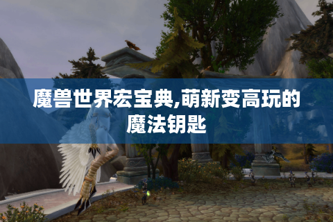 魔兽世界宏宝典,萌新变高玩的魔法钥匙