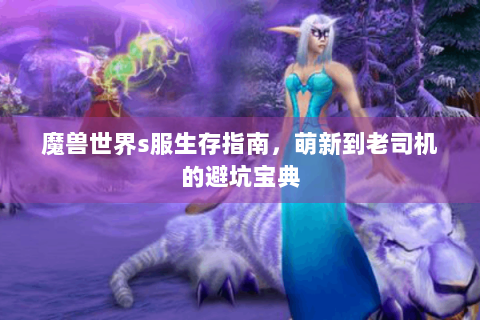 魔兽世界s服生存指南，萌新到老司机的避坑宝典