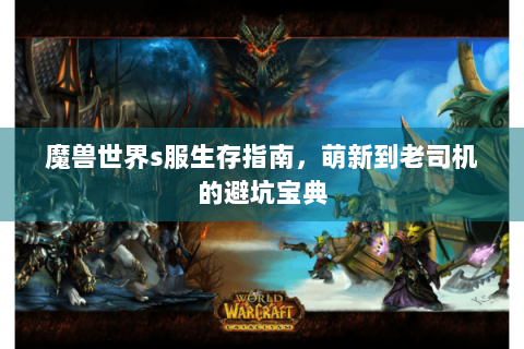 魔兽世界s服生存指南，萌新到老司机的避坑宝典