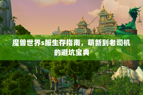 魔兽世界s服生存指南，萌新到老司机的避坑宝典