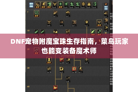 DNF宠物附魔宝珠生存指南，菜鸟玩家也能变装备魔术师