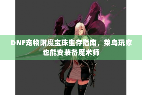 DNF宠物附魔宝珠生存指南，菜鸟玩家也能变装备魔术师