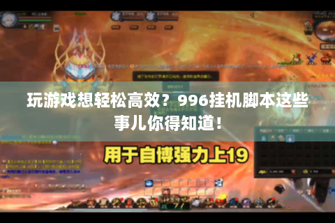 玩游戏想轻松高效？996挂机脚本这些事儿你得知道！