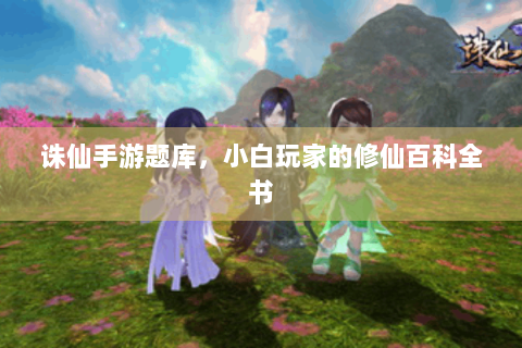 诛仙手游题库，小白玩家的修仙百科全书