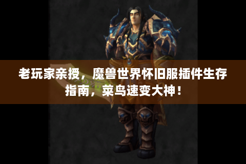 老玩家亲授，魔兽世界怀旧服插件生存指南，菜鸟速变大神！