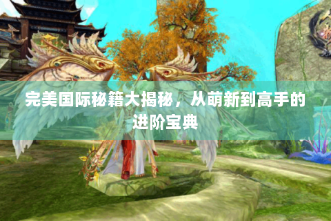 完美国际秘籍大揭秘，从萌新到高手的进阶宝典