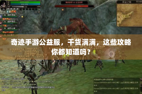 奇迹手游公益服，干货满满，这些攻略你都知道吗？