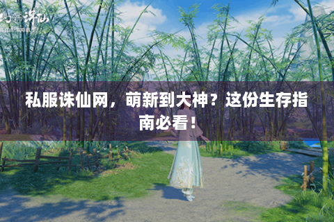 私服诛仙网，萌新到大神？这份生存指南必看！