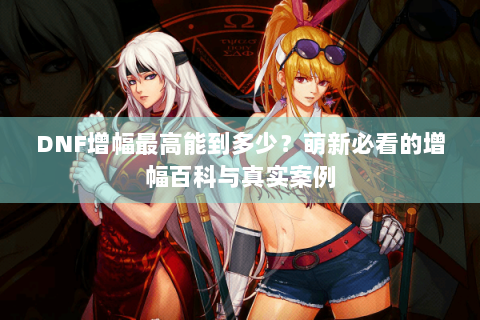 DNF增幅最高能到多少？萌新必看的增幅百科与真实案例