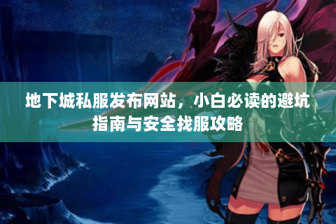 地下城私服发布网站，小白必读的避坑指南与安全找服攻略