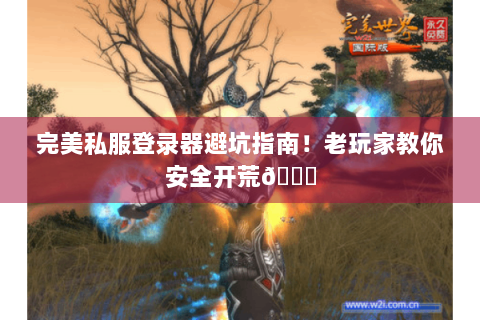 完美私服登录器避坑指南！老玩家教你安全开荒😎