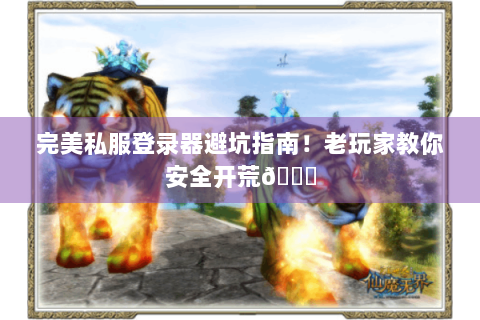 完美私服登录器避坑指南！老玩家教你安全开荒😎