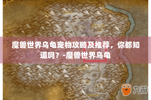 魔兽世界乌龟宠物攻略及推荐，你都知道吗？-魔兽世界乌龟