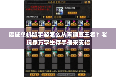 魔域单机版手游怎么从青铜变王者？老玩家万字生存手册来支招