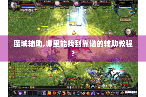 魔域辅助,哪里能找到靠谱的辅助教程?