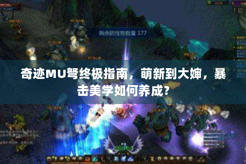奇迹MU弩终极指南，萌新到大婶，暴击美学如何养成？