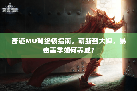 奇迹MU弩终极指南，萌新到大婶，暴击美学如何养成？