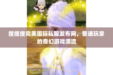 搜搜搜完美国际私服发布网，普通玩家的奇幻游戏漂流