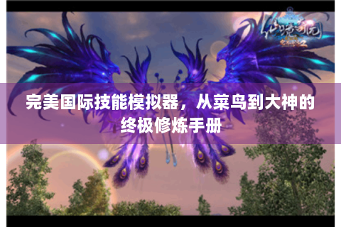 完美国际技能模拟器，从菜鸟到大神的终极修炼手册