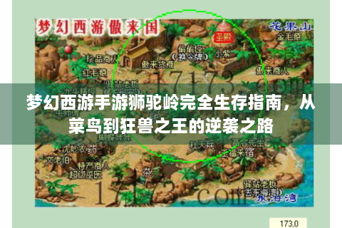梦幻西游手游狮驼岭完全生存指南，从菜鸟到狂兽之王的逆袭之路
