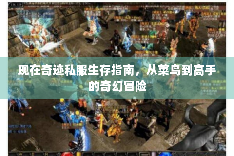 现在奇迹私服生存指南，从菜鸟到高手的奇幻冒险