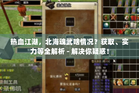 热血江湖，北海魂武啥情况？获取、实力等全解析 - 解决你疑惑！